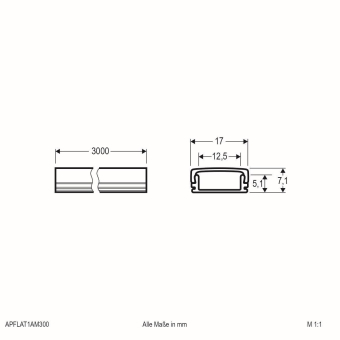 EVN Alu-Profil flach mit    APFLAT1AM300 