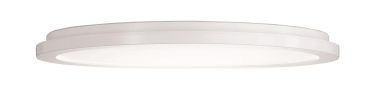 Trio LED-DL CAMILLUS,24W       R62922401 
