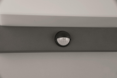 TRIO LED Wandleuchte NESTOS    240969142 