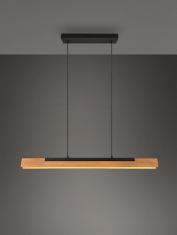 TRIO Pendelleuchte KERALA 25W  341610132 