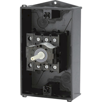 EATON P1-25/I2/SVB-SW/N           207296 