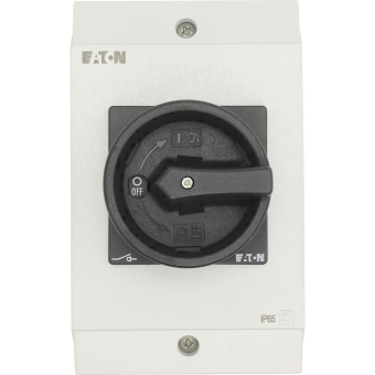 EATON P1-25/I2/SVB-SW             207294 