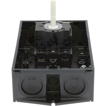 EATON P1-25/I2/SVB-SW             207294 