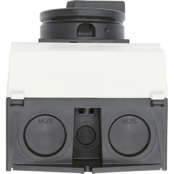 EATON P1-25/I2/SVB-SW/HI11        207295 