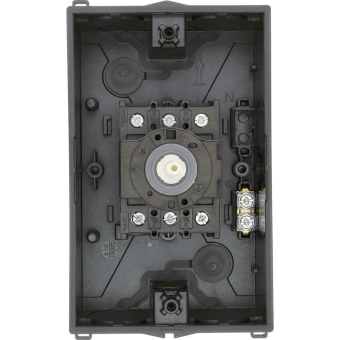 EATON P1-25/I2/SVB-SW             207294 