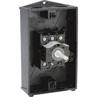 EATON P1-25/I2/SVB-SW             207294 