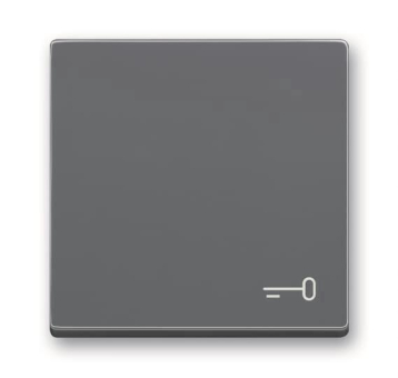 BJ Wippe m.Aufdruck anth      2520 TR-81 