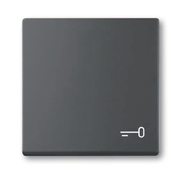 BJ Wippe m.Aufdruck schwarz  2520 TR-885 