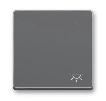 BJ Wippe m.Aufdruck anth      2520 LI-81 