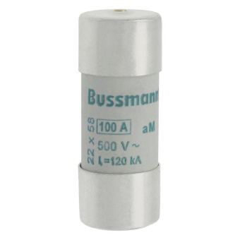 EATON Sicherungseinsatz Nsp.    C22M100S 