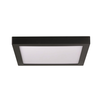Paulmann WallCeiling Abia          70985 