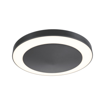 Paulmann Outdoor 230V Decken       94526 