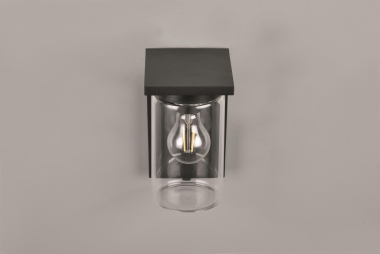 TRIO Fassadenleuchte ARDILA sw 211660132 