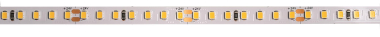 Rutec Flex.LEDStrip,24V,          B82477 