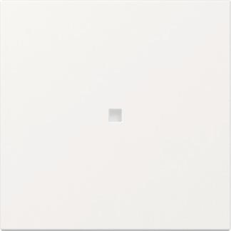 GIRA 349003 Wippe gerade Kontrollfenster 
