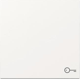 GIRA 328703 Wippe Symbol Tür System 55 