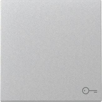 GIRA 328726 Wippe Symbol Tür System 55 