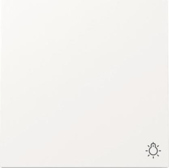 GIRA 328570 Wippe Symbol Licht F200 