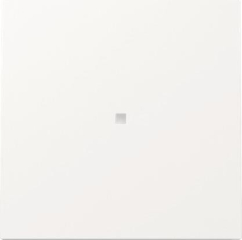 GIRA 329070 Wippe Kontrollfenster F200 