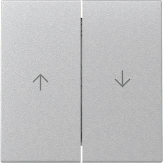 GIRA 329426 Wippe 2fach Pfeil System 55 