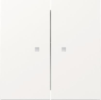 GIRA 363170 Wippe 2fach Kontrollfenster 