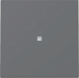 GIRA 329028 Wippe Kontrollfenster 