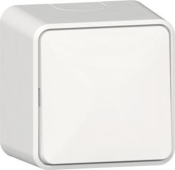 GIRA 310613 Wippschalter Aus-Wechsel AP 