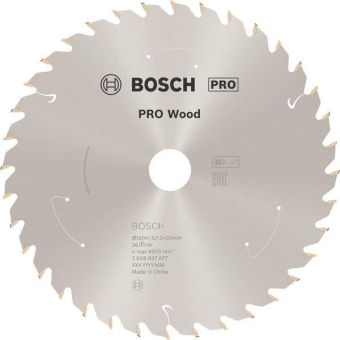 Bosch 2608837677 CSB      CSB WO 160 T36 