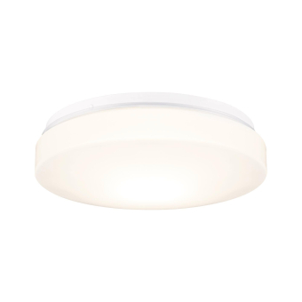 Paulmann WallCeiling HomeSpa Axin  78898 