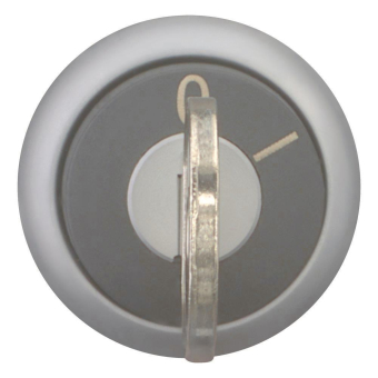 EATON M22-WRS-MS7 Schlüsseltaste  111788 