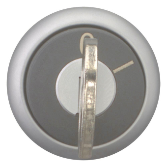 EATON M22-WRS-MS2 Schlüsseltaste  111778 