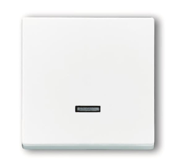 BJ carat Dimmer-Tastfläche   6543-84-101 