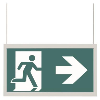 CEAG LED-Piktogrammscheibe   40071354540 