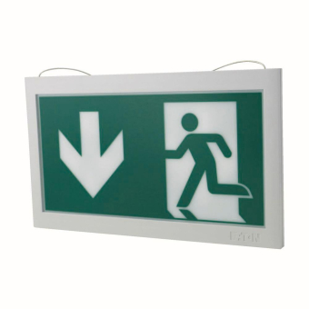 CEAG LED-Piktogrammscheibe   40071354511 