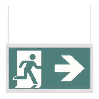 CEAG LED-Piktogrammscheibe   40071354540 