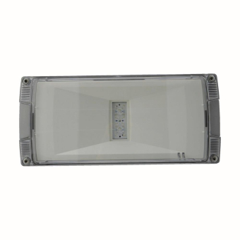 CEAG LED                     40071354875 