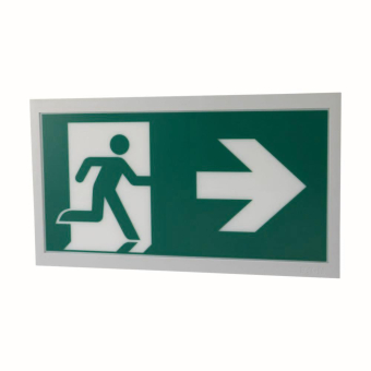 CEAG LED-Piktogrammscheibe   40071354531 