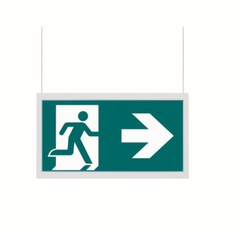 CEAG LED-Piktogrammscheibe   40071354540 