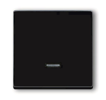 BJ solo Dimmer-Tastfläche    6543-81-101 