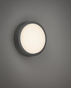 TRIO Wandleuchte IP54 BREG     227260142 