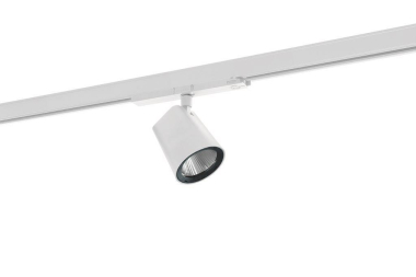 RIDI CIRQUA-LI 1X2600-930 F    0321996AH 