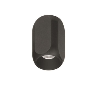 Brumberg                        12122183 