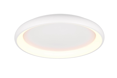 TRIO Deckenleuchte CARDONA 59W 649617531 