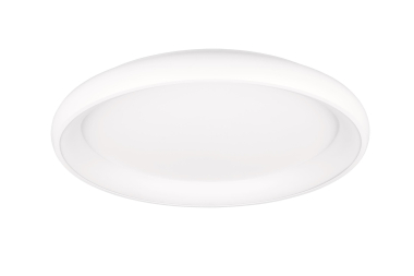 TRIO Deckenleuchte CARDONA 59W 649617531 