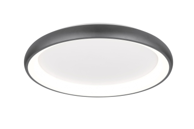 TRIO Deckenleuchte CARDONA 59W 649617532 