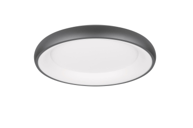 TRIO Deckenleuchte CARDONA 38W 649616032 