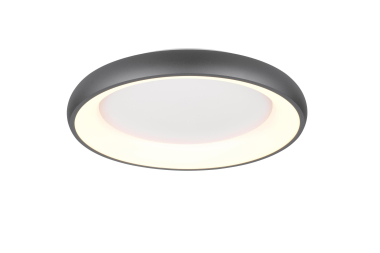 TRIO Deckenleuchte CARDONA 38W 649616032 