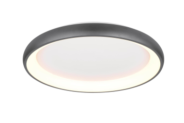 TRIO Deckenleuchte CARDONA 59W 649617532 