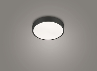 TRIO Deckenleuchte WACO 310mm  627413032 