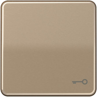 JG Wippe Tür                    CD590TGB 